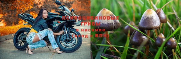 бошки Чердынь