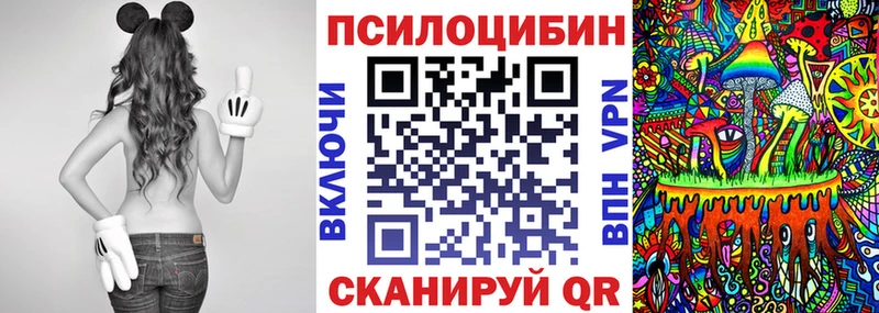 закладка  Кущёвская  Псилоцибиновые грибы мухоморы 